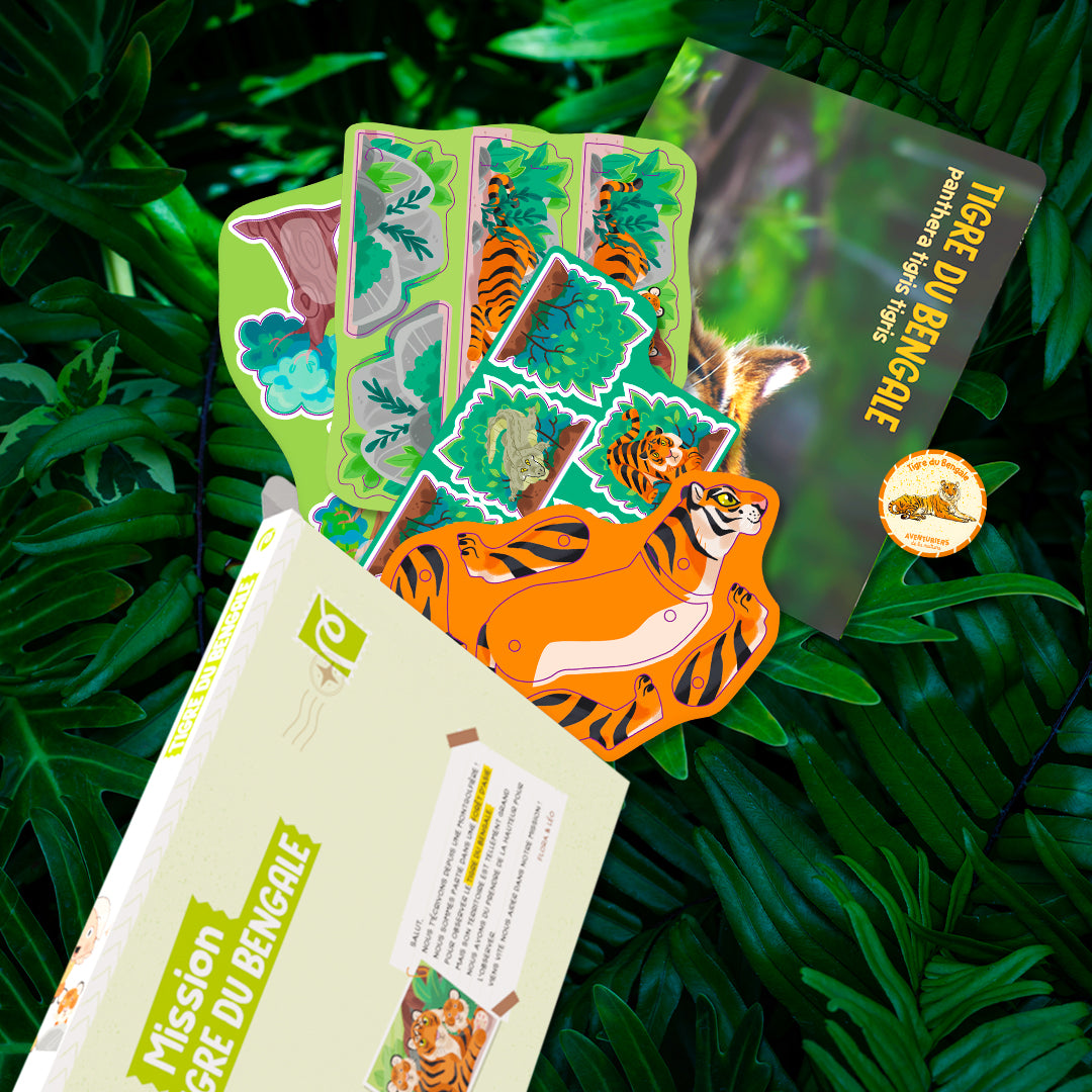 Le tigre du Bengale
