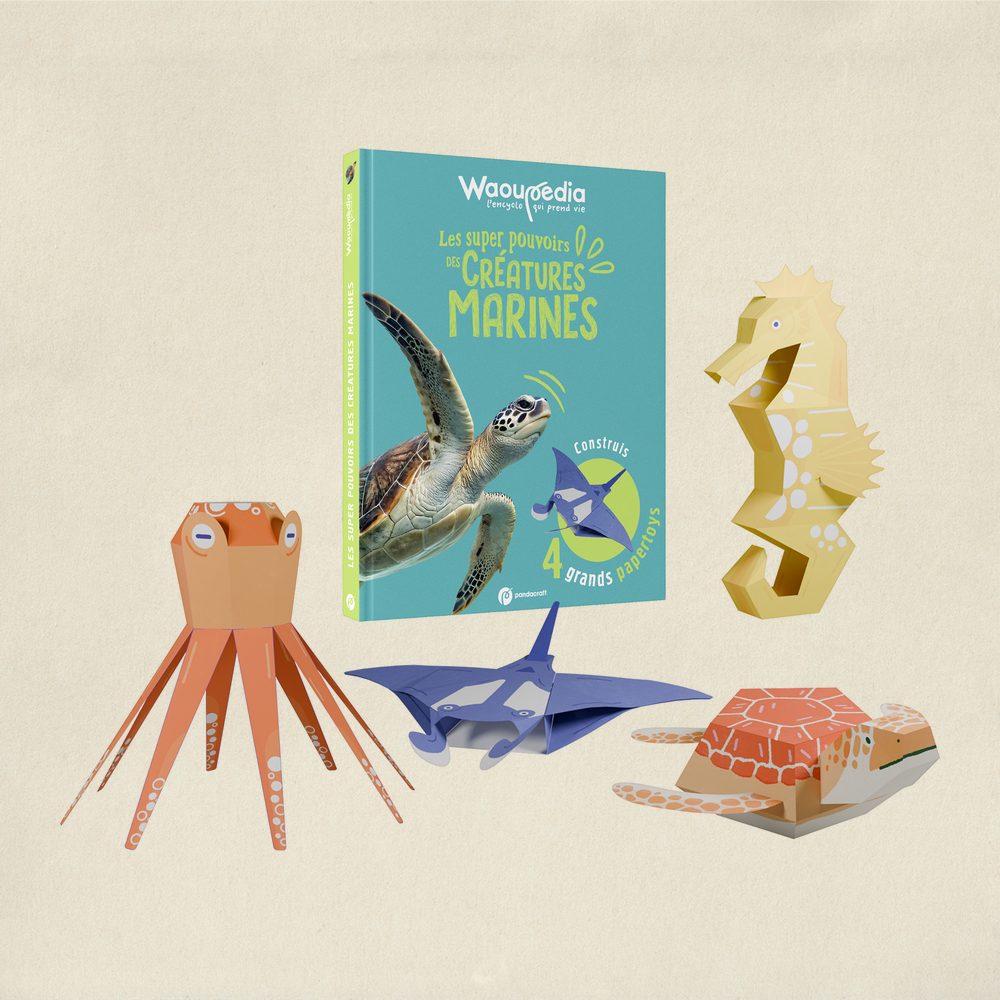 Les animaux marins