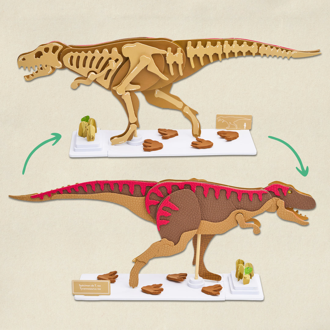 Le T-rex