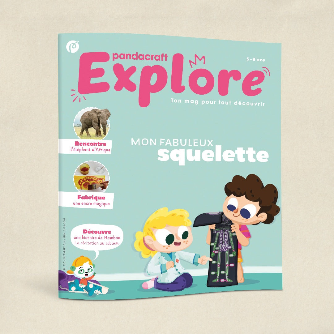 Le squelette